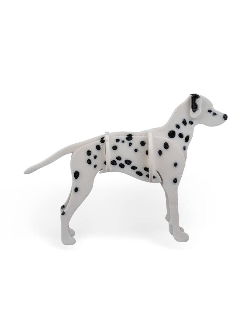 Dalmatian — Kit Card