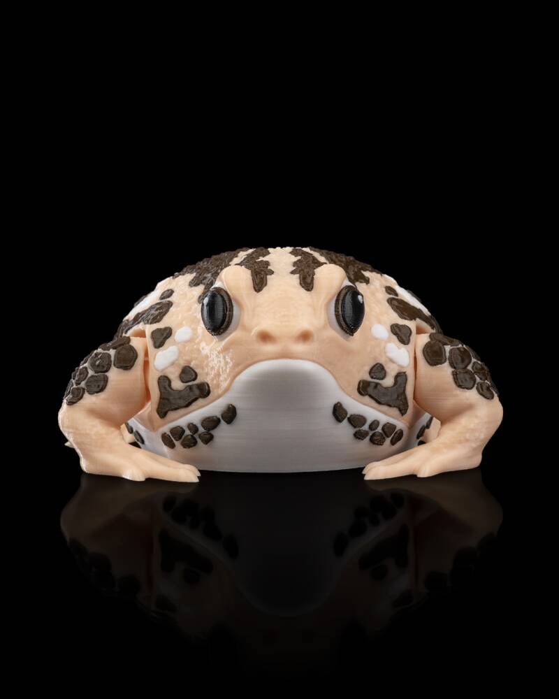 Humphrey — Rain Frog