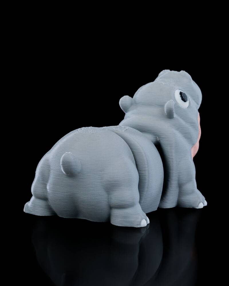 Merry Baby Hippo