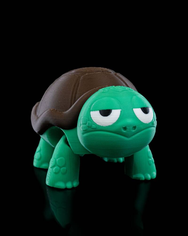 Not Surprised Turtle