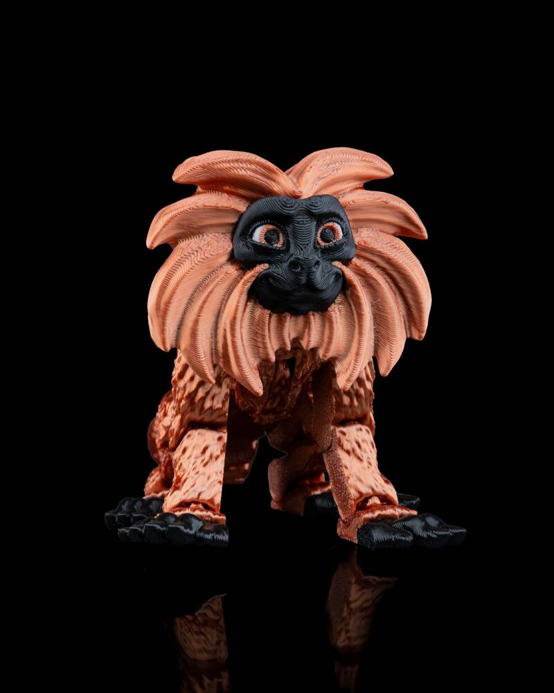Golden Lion Tamarin