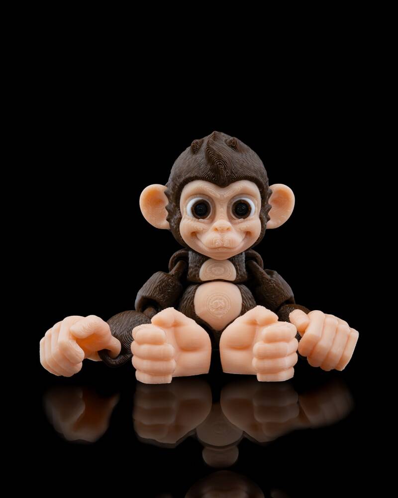 Baby Chimp