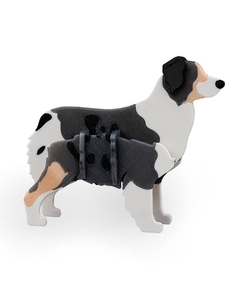 Australian Shepherd — Kit Card