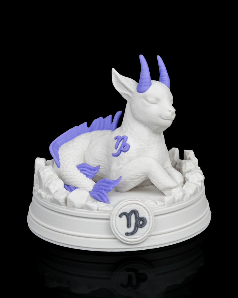 Astro Charms — Capricorne