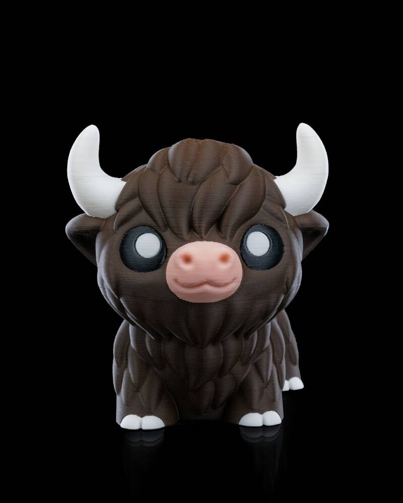 Chill Highland Cow