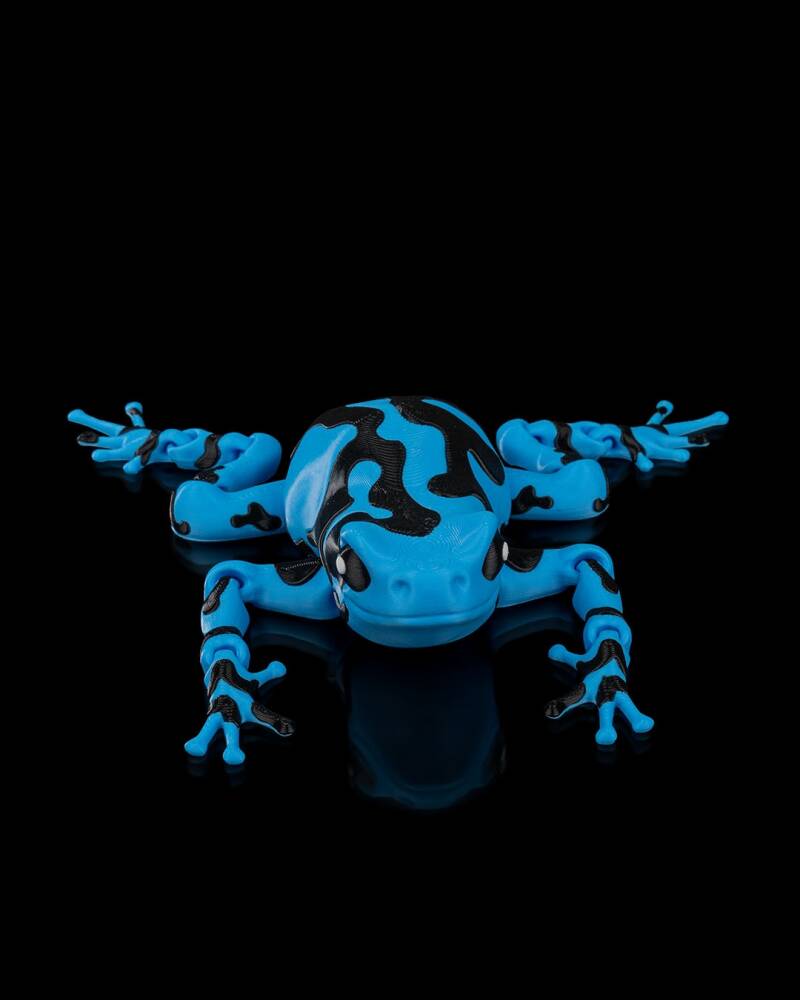 Darcy — Poison Dart Frog