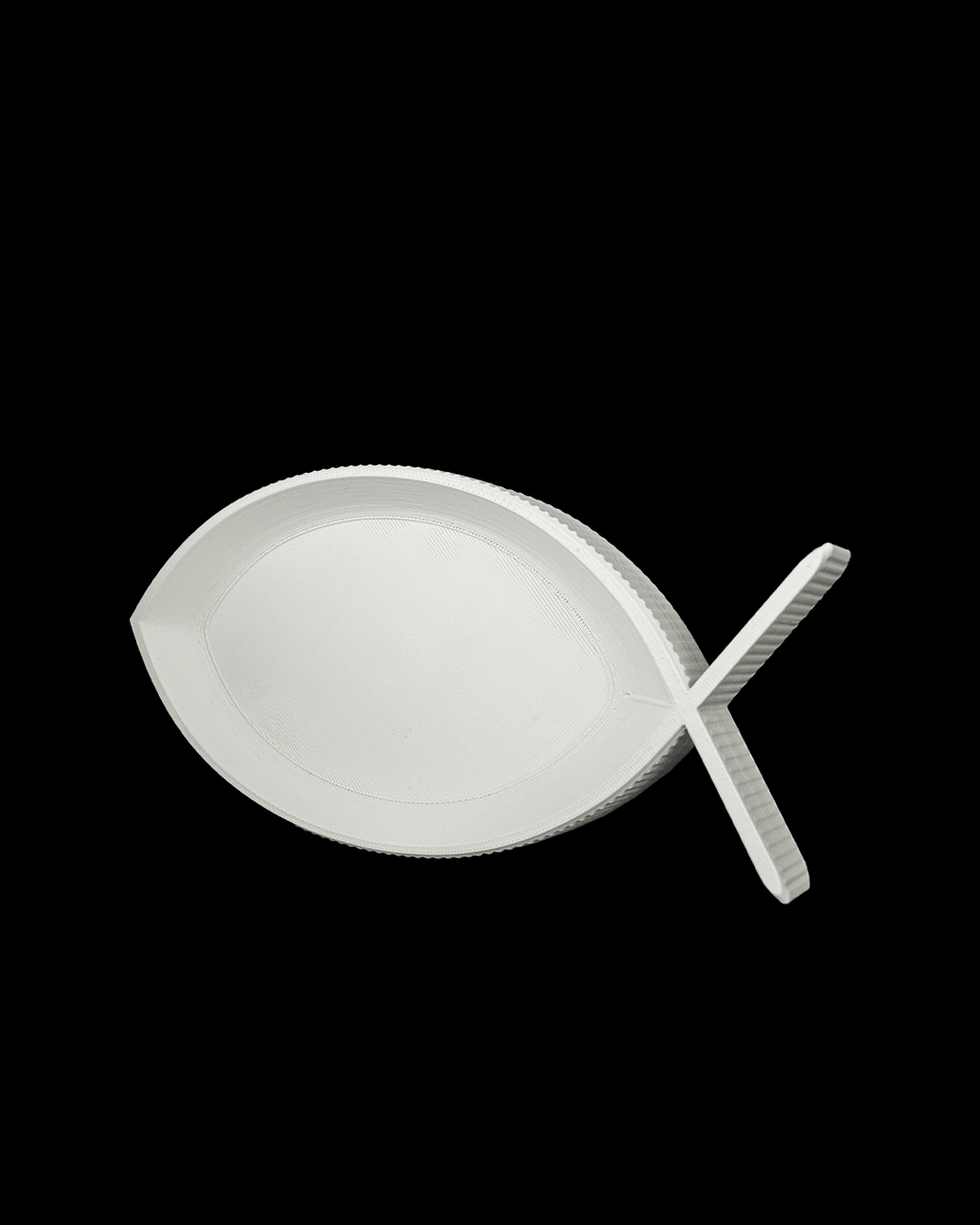 Fish Tray — vue 4