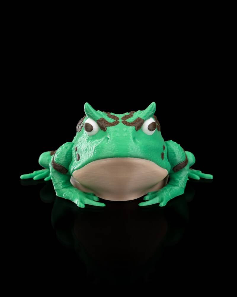 Harold — Horned Frog