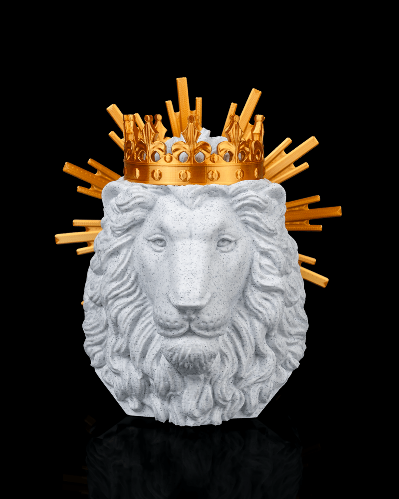 Le Lion de Juda