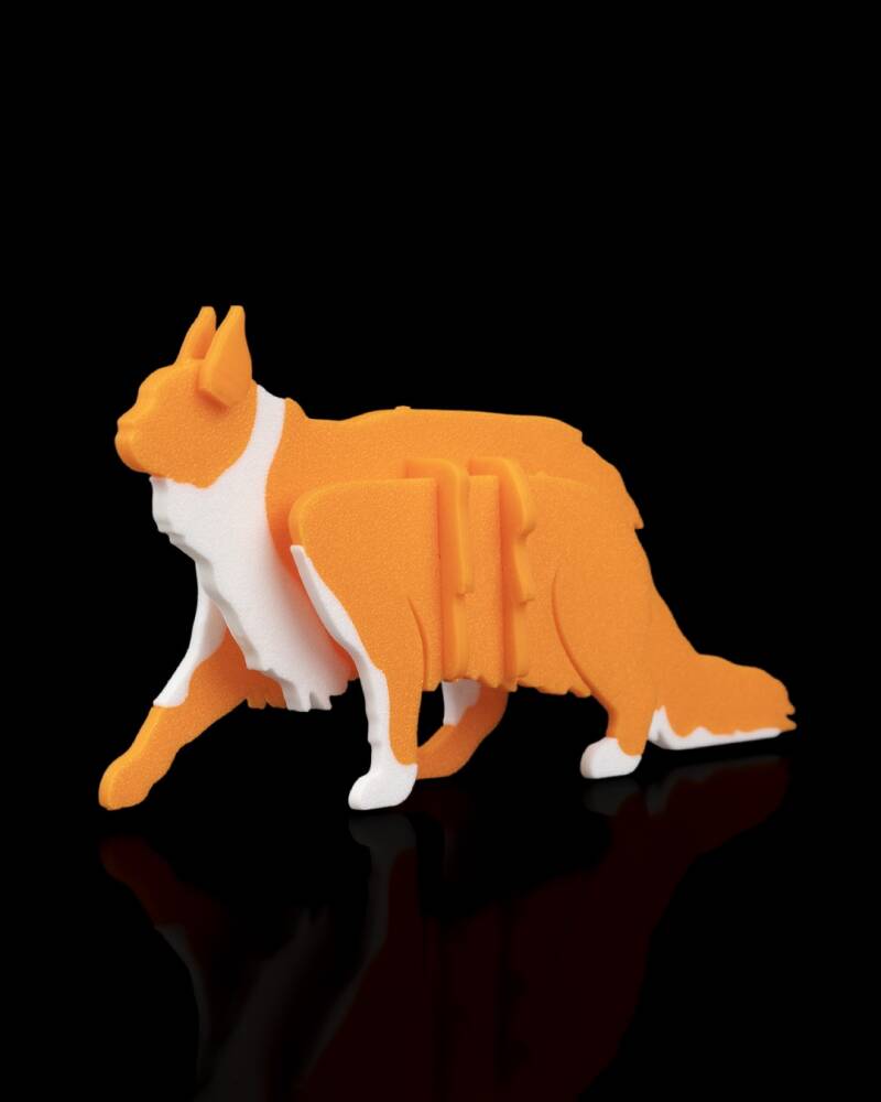 Maine Coon — Kit Card