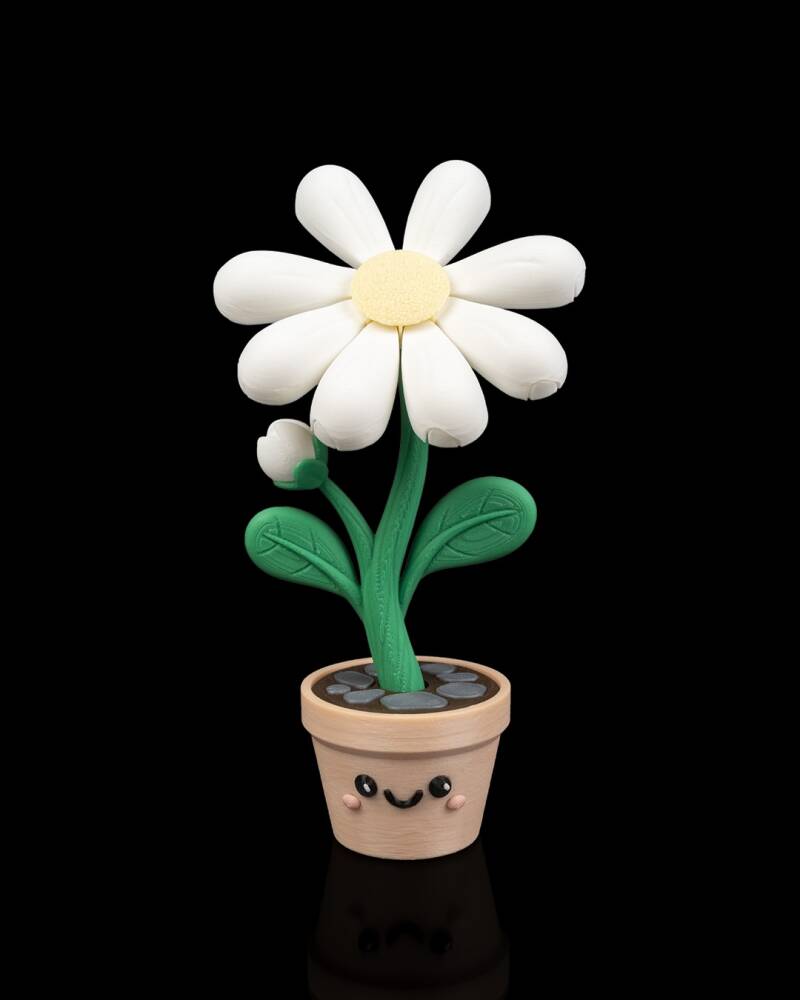 Petal Whisper Custom Container