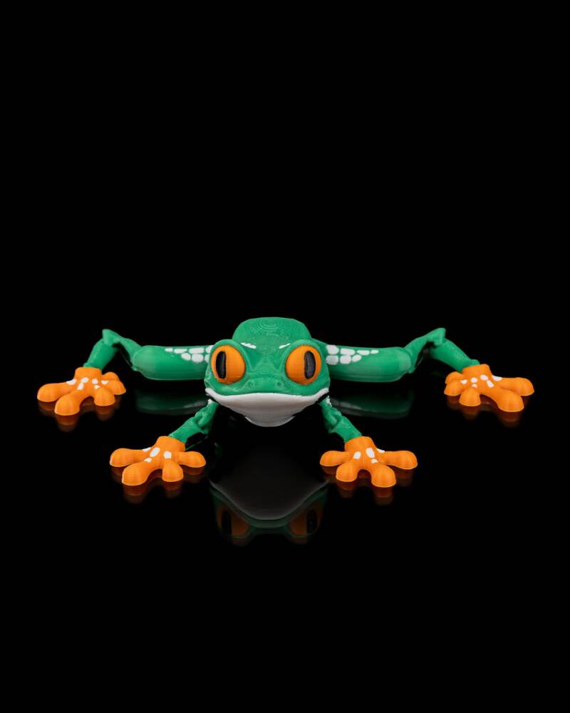 Reed — Red Eyed Tree Frog