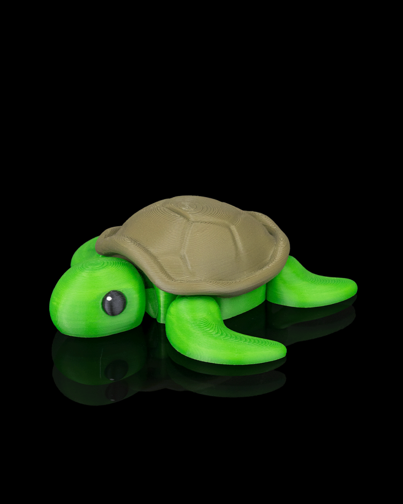 Tortue tranquille — Grande